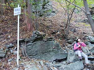 �ѓ�����