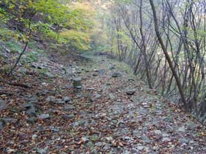 �ѓ���i��"