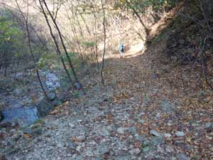 ���ѓ���i��