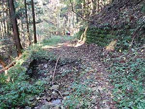 ���ѓ���i��