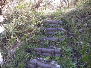 �ē�����̓o�R���B