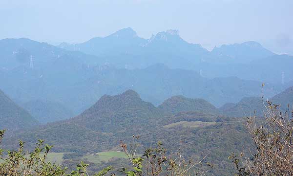 �R������̒���