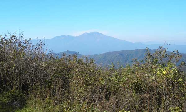 �R������̒���