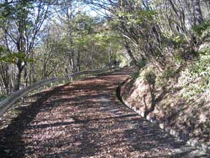 �ܑ��H��i��