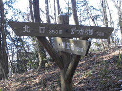 ����̕W��