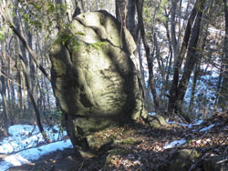 ��������l