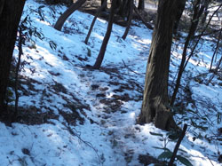 �k�Ζʂ̐�̎c��o�R��