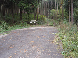 �A�X�t�@���g�̓��I�_