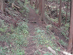 ���̕ӂ̓o�R���B