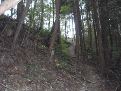 �O�������邭�Ȃ��Ă���