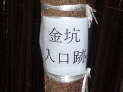 ���R������