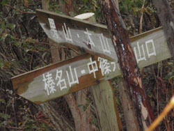 �j�R�̂������̕���_