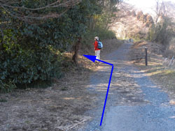 ��Ɠ���i��