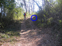 ��Ɠ���10m�ʐi�񂾁B