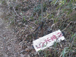 作業道を10m位進んだ。