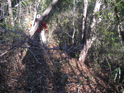 �S�[���͂������I