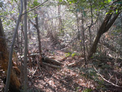 �����K�i�������E�E