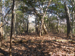 ���R �R��(143m)