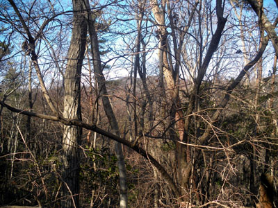 山頂からは、薄らと太平山