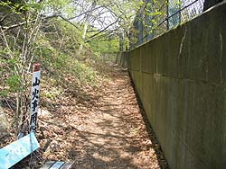 �o�R������̓o�R��