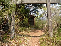 �V���R�_��