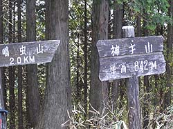 �_�m��R �R��