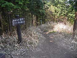 �R������̓o�R���͉���