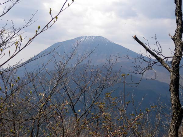 ���R �R������̒���