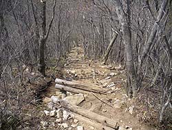 ���R����̓o�R��