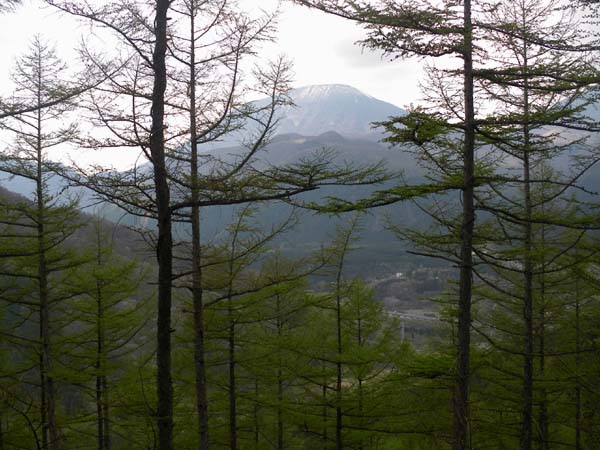 �R���炵���ꏊ