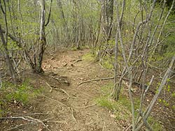 �����؂����Ȃ��Ȃ�A�����ƂȂ���