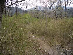 �����؂����Ȃ��Ȃ�A�����ƂȂ���