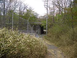 �F�s�{�����L�����H