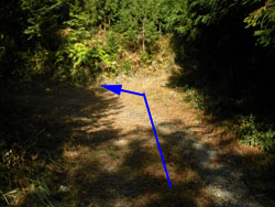 �ѓ�����2