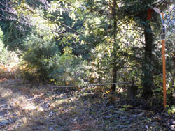 �S�p�C�v�̃Q�[�g