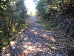 �A�X�t�@���g�̓�