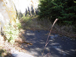 アスファルトの道