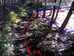 �S���֑���������