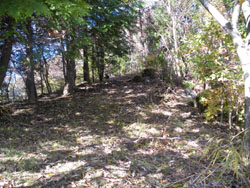 ���b�N�N���C�~���O