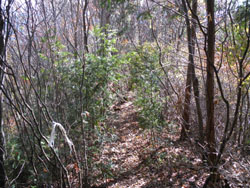 ��قǂ̓S���Ɉړ��`