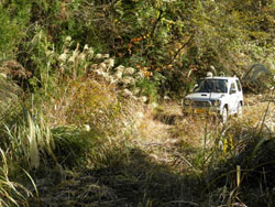 �p�W�F���~�j�͓S����Ǝ҂̍�Ǝ�