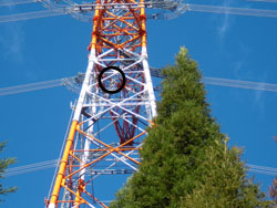 ����ȍ����܂ŁA�o���Ă�`�`�I