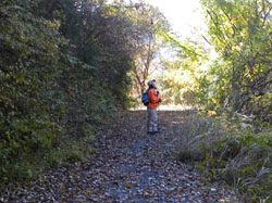 �S�����C�ɂȂ���