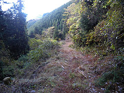 �����炯�̗ѓ�