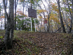 �약�R�R��