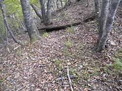 ���������������Ԃ���