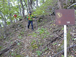 ���R���̗l�q