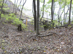 ���}�ȏ����H������