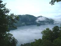 ���T���΂̌i�F