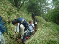 �o�R���͂���Ȋ���